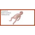 Mannequin médical néonatal d&#39;intubation endotrachéale